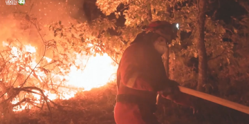 Enligt fackliga röster handlar den spanska brandkrisen krisen om ett djupare systemfel. 
BILD: Canal 44