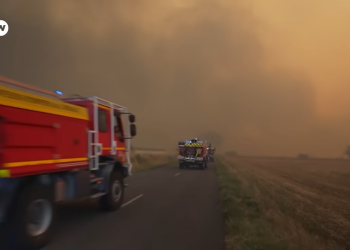 BILD: DW News