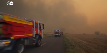 BILD: DW News