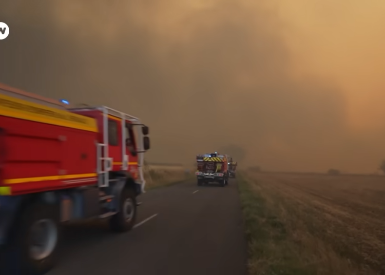 BILD: DW News