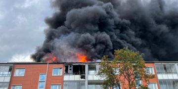 Genomgång av Räddningstjänsten Storgöteborgs vindsbrandskoncept och dess koppling till skadeutfall och kostnader.